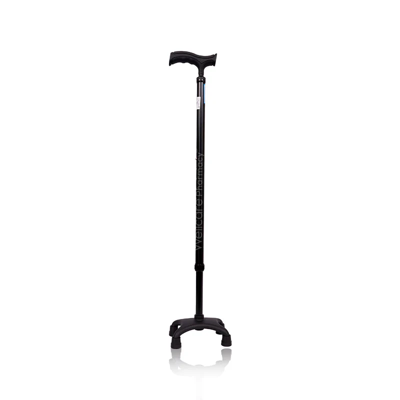 Dayang Dy05942l Black Walking Stick 4' Leg