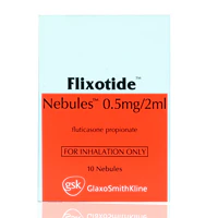 Flixotide Nebules 0.5mg/2ml 10'S - Image 2