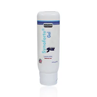 Health Wise Synoforte Gel 100gm - Image 2