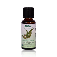 Now Eucalyptus Oil Organic 30ml - Image 2