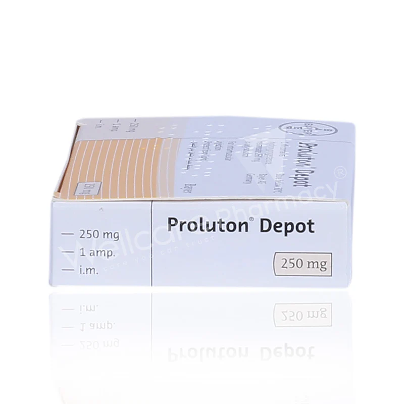 Proluton Depot Ampules 1'S - Image 3