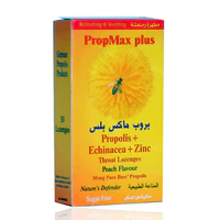 Propmax Plus Throat Lozenges 30'S - Image 2