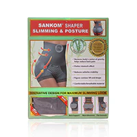 SANKOM 013BM L/XL GREY WOMENS BAMBOO BRIEF - Image 2
